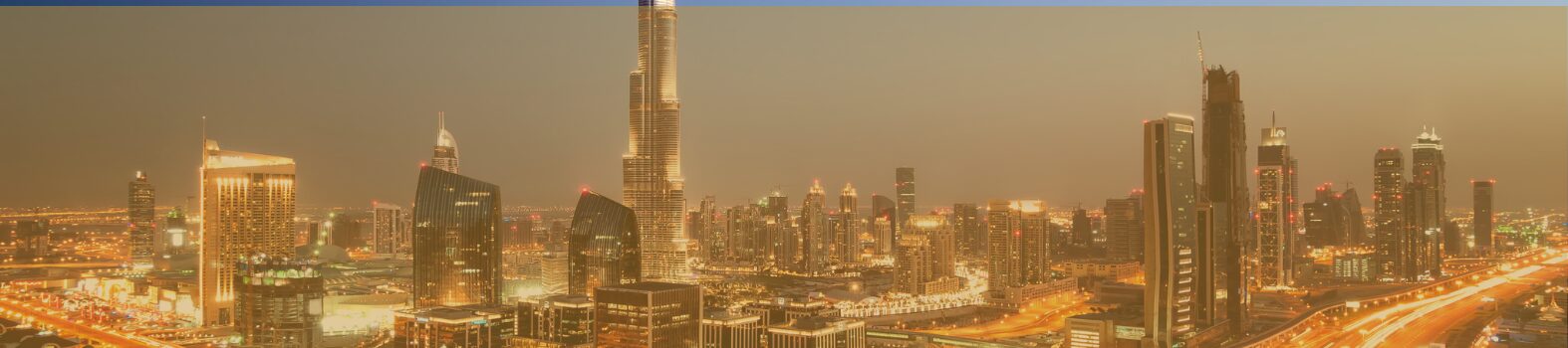 Standard Delegate Pass - DCIS DUBAI 2026 (1 Pax)