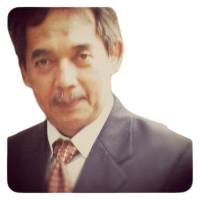 Wisnoe PribadiTechnical Services Advisory DirectorIDPRO