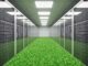 Oracle signs renewable power agreements with ENGIE for its Texas operations