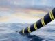 Meta, NEC and Sumitomo collaborate to build Petal submarine cable system