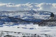 Vattenfall and Nscale sign renewable power deal for Norway AI data center