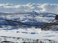 Vattenfall and Nscale sign renewable power deal for Norway AI data center