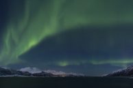 SPECIAL FEATURE | Just chill: Cooling innovations in Nordic data centers setting new sustainability standards
