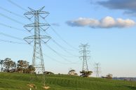 Transgrid warns Sydney data centre demand is stretching grid capacity