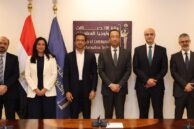 Egypt grants data centre license to Hassan Allam
