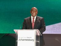 Google announces Digital Exchange Port connecting South Africa to India