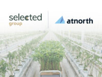 atNorth to heat Ølgod greenhouse with data center surplus