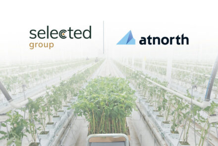 atNorth to heat Ølgod greenhouse with data center surplus